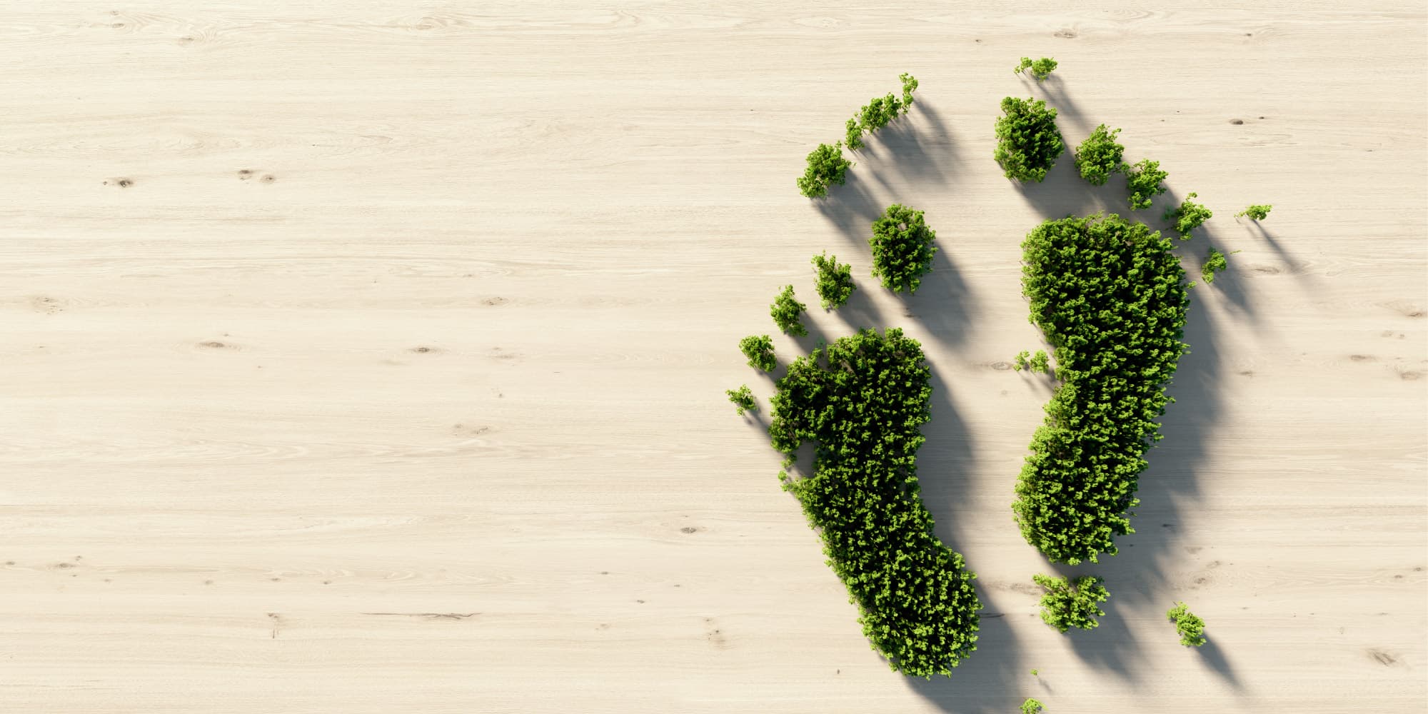 Responsible-consumption--rethinking-production-and-consumption