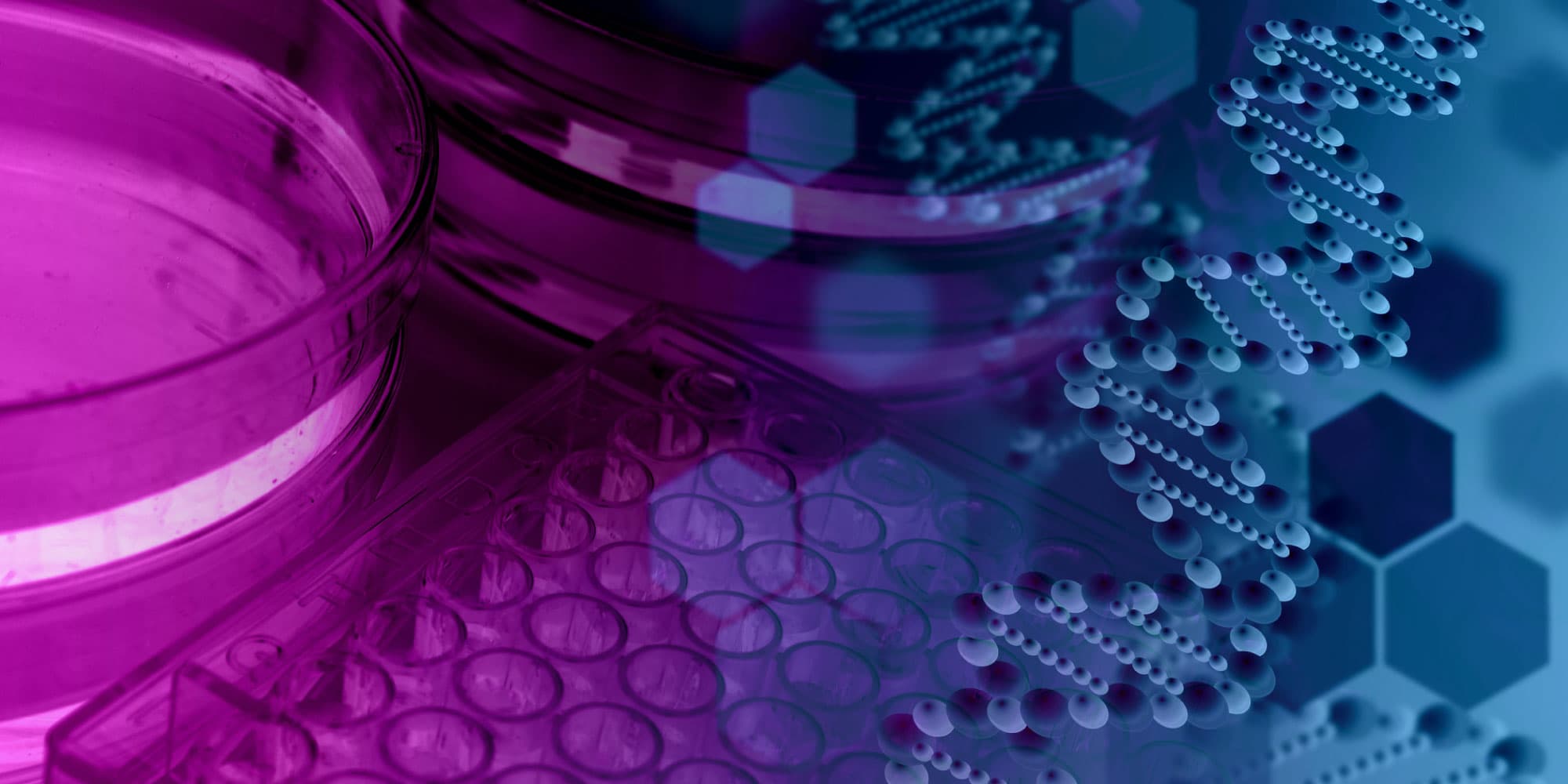 A chip-scale microscope for high-throughput fluorescence imaging