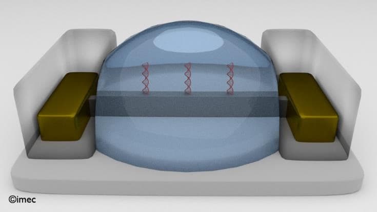 finFET biosensor