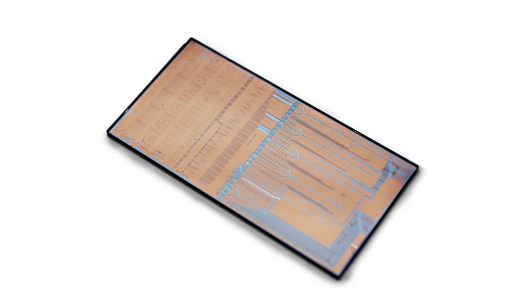 on-chip flow cytometer