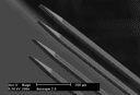 Neural probes: tracking the activity of individual neurons | imec