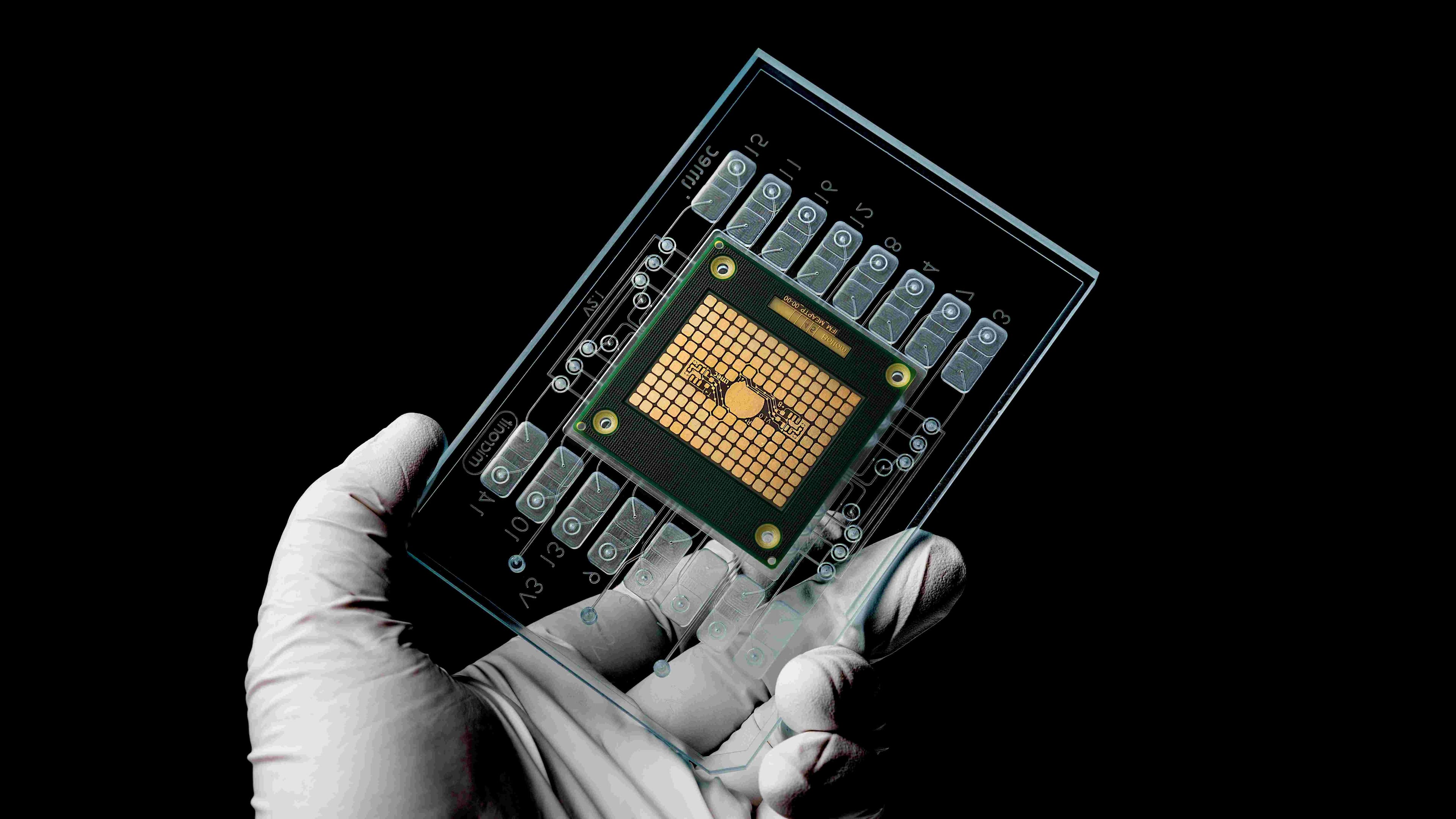 Microphysiological system