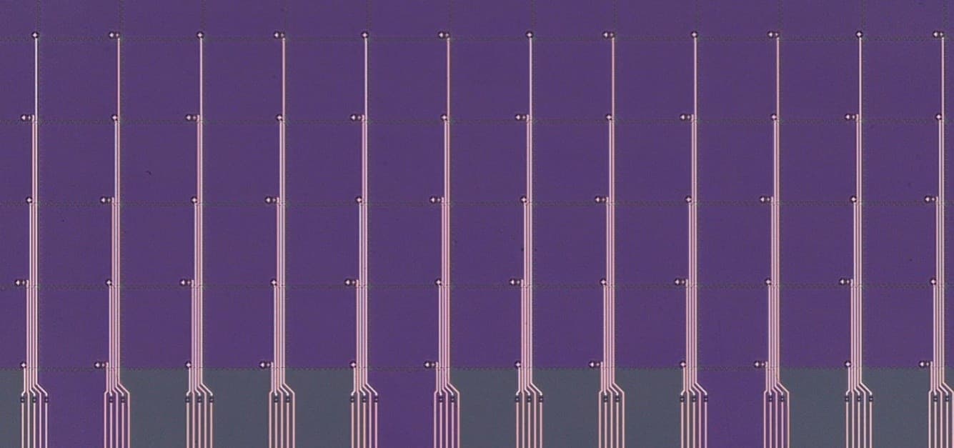 Programmable droplet processor