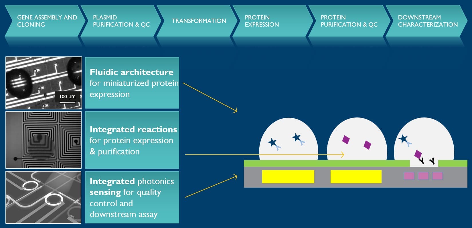 programmable droplet processor