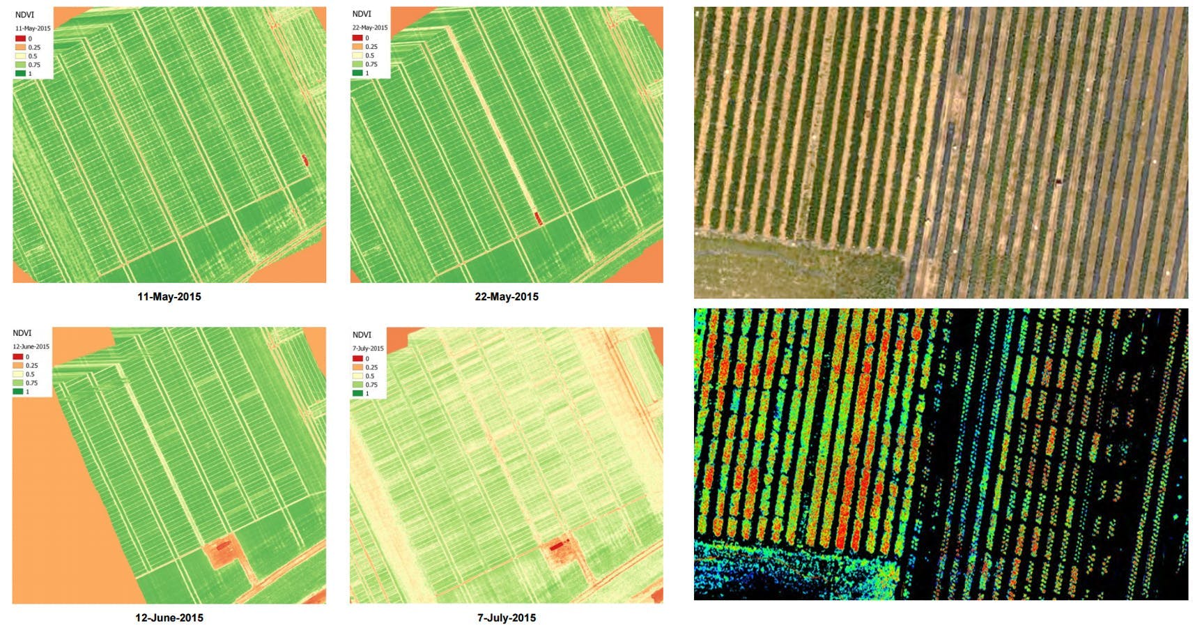 Hyperspectral aerial images of strawberry test fields