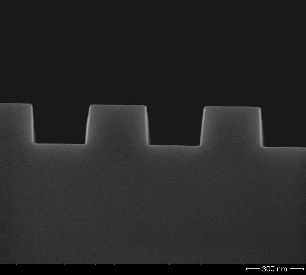 Scanning Electron Micrograph