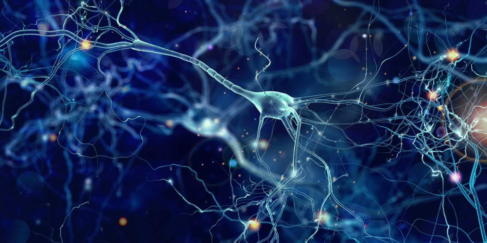 Neuropixels 2.0 enables brain-wide recordings of neuron activity