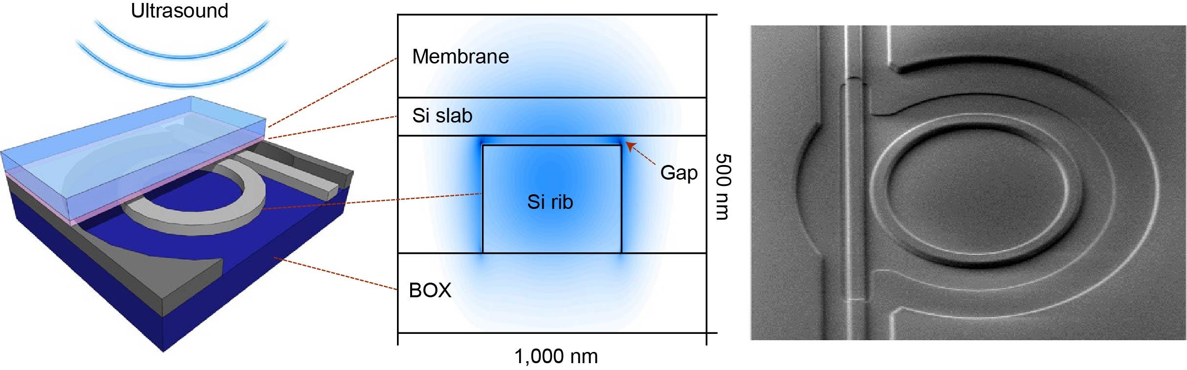 Figure 3. Cross-section and SEM image of imec’s opto-mechanical ultrasound sensor.