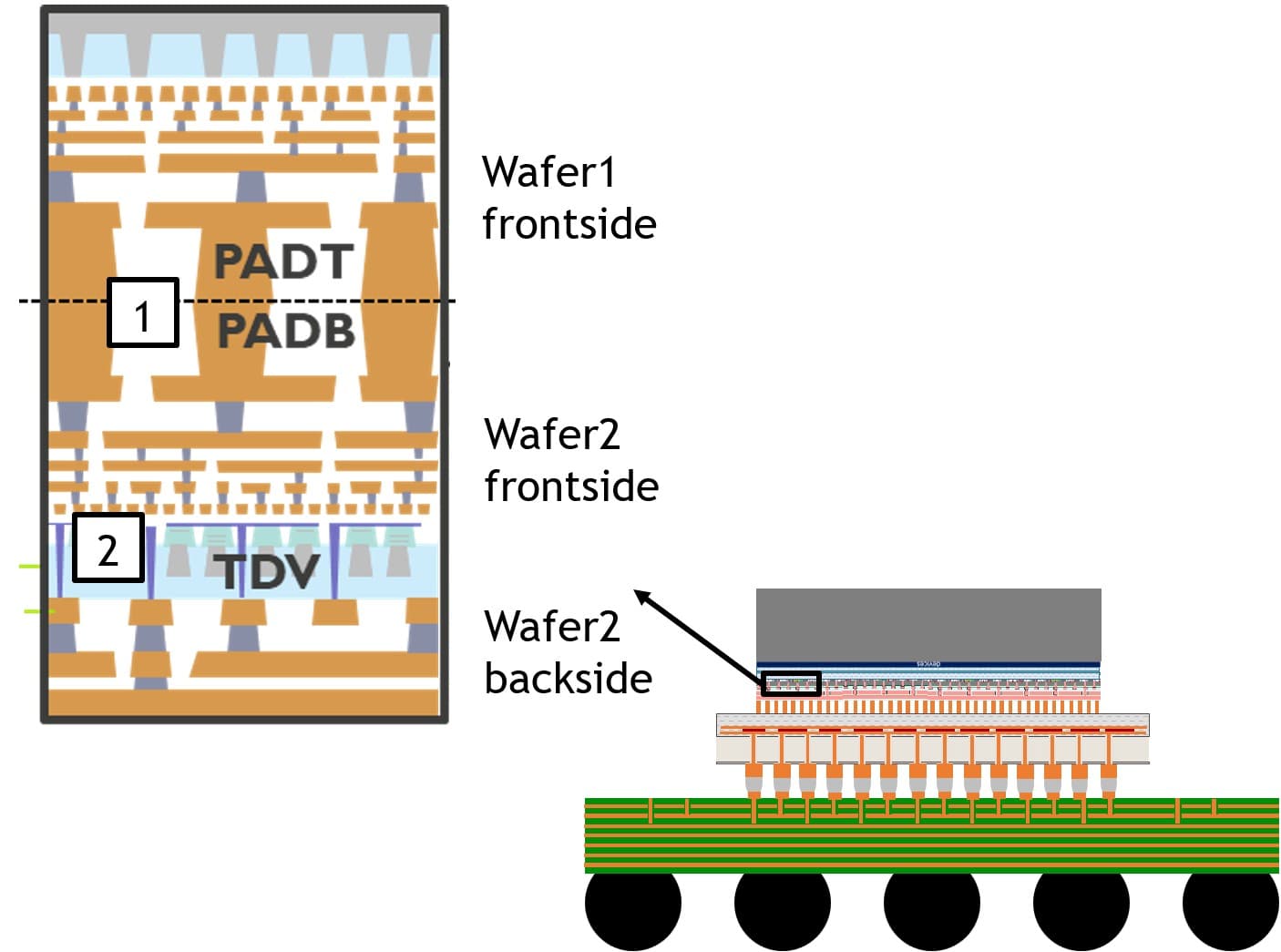 Article Wafer connectivity