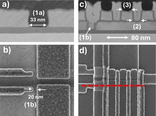 Article Si spin qubits