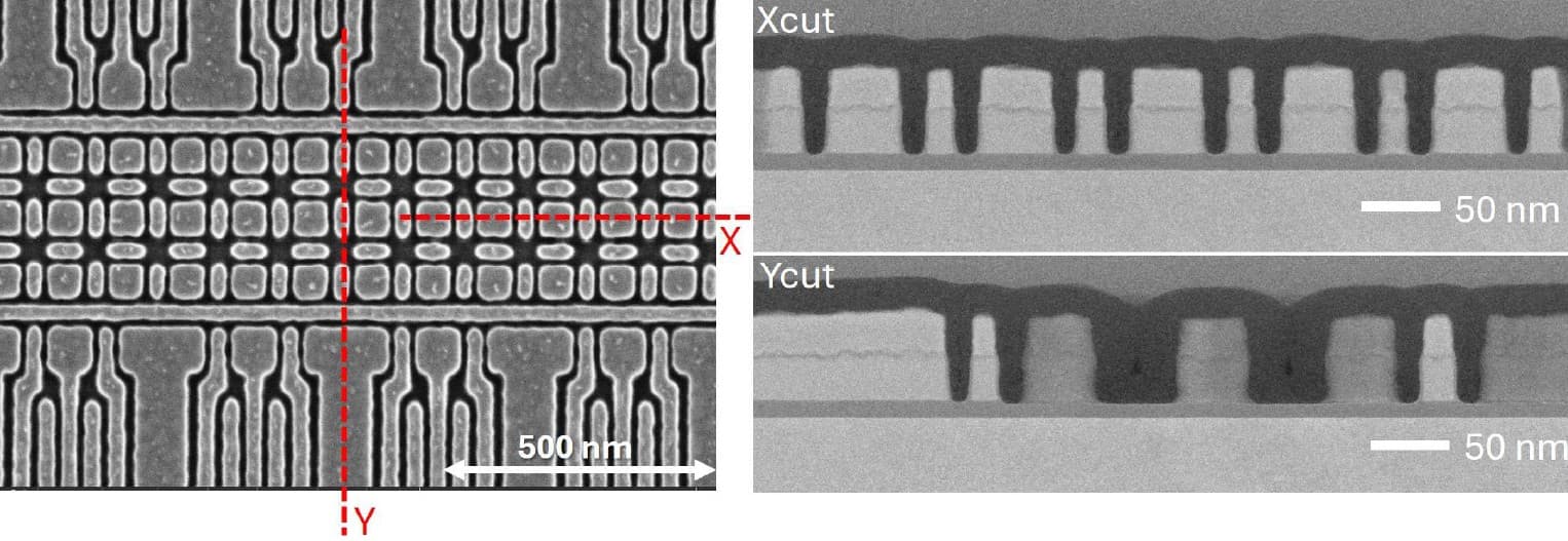 Article Si spin qubits