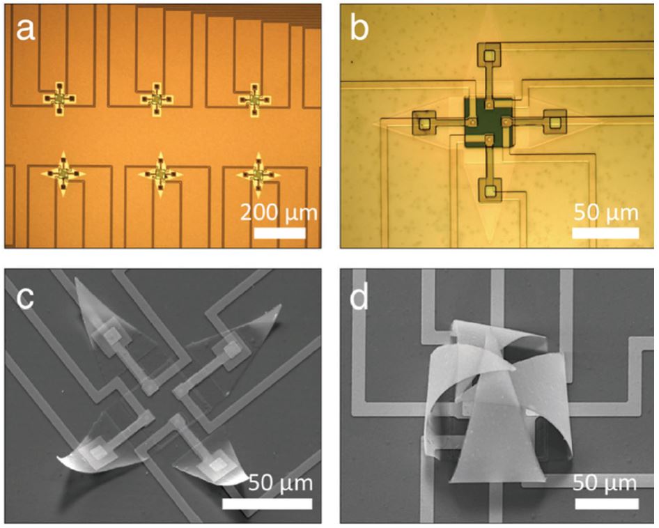 microgrippers cells on chip