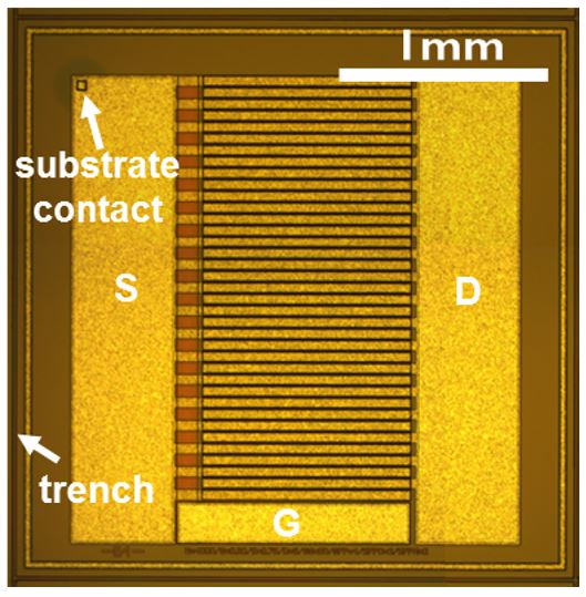 Top view of the fabricated device. A box-like isolation structure is created around each HEMT device