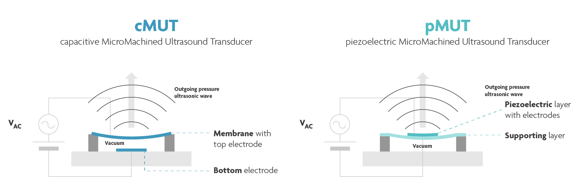 Operation principle of cMUT and pMUT technology. 