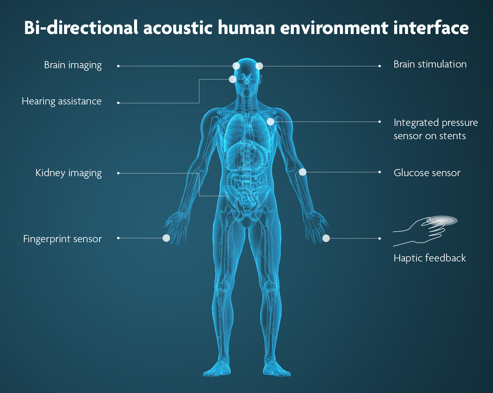 Schematic representation of some of the possible applications enabled by ultrasound. 