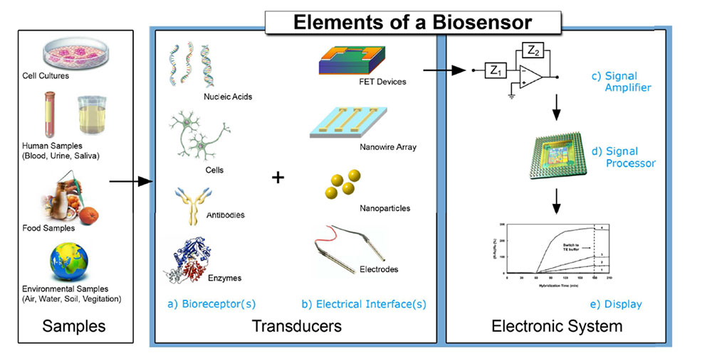 Figure 1: instrumentation for electro-chemical sensing.