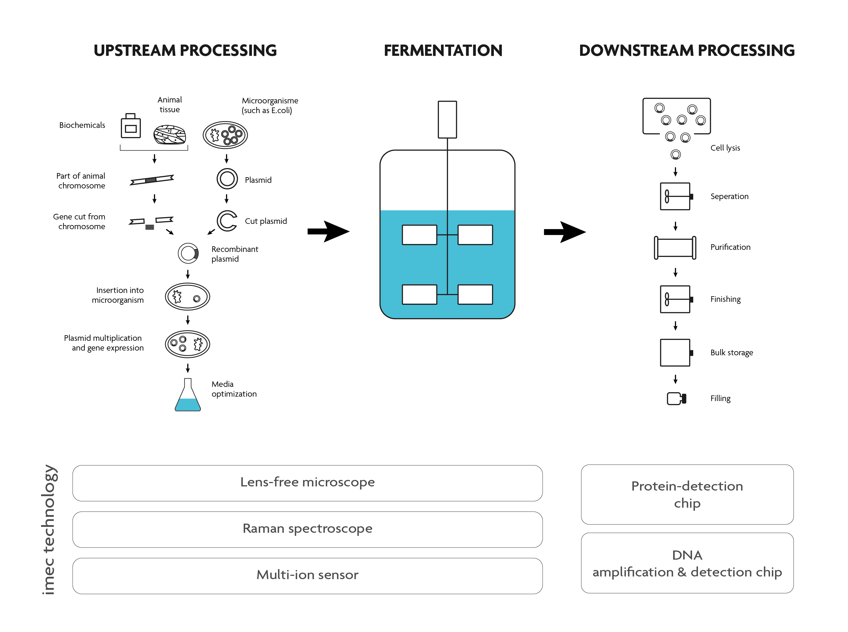 Bioprocess Flow Chart