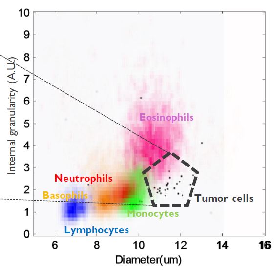 cell sorting with lensfree imaging technique