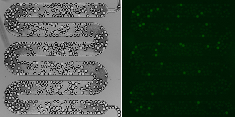 imec-droplet-2