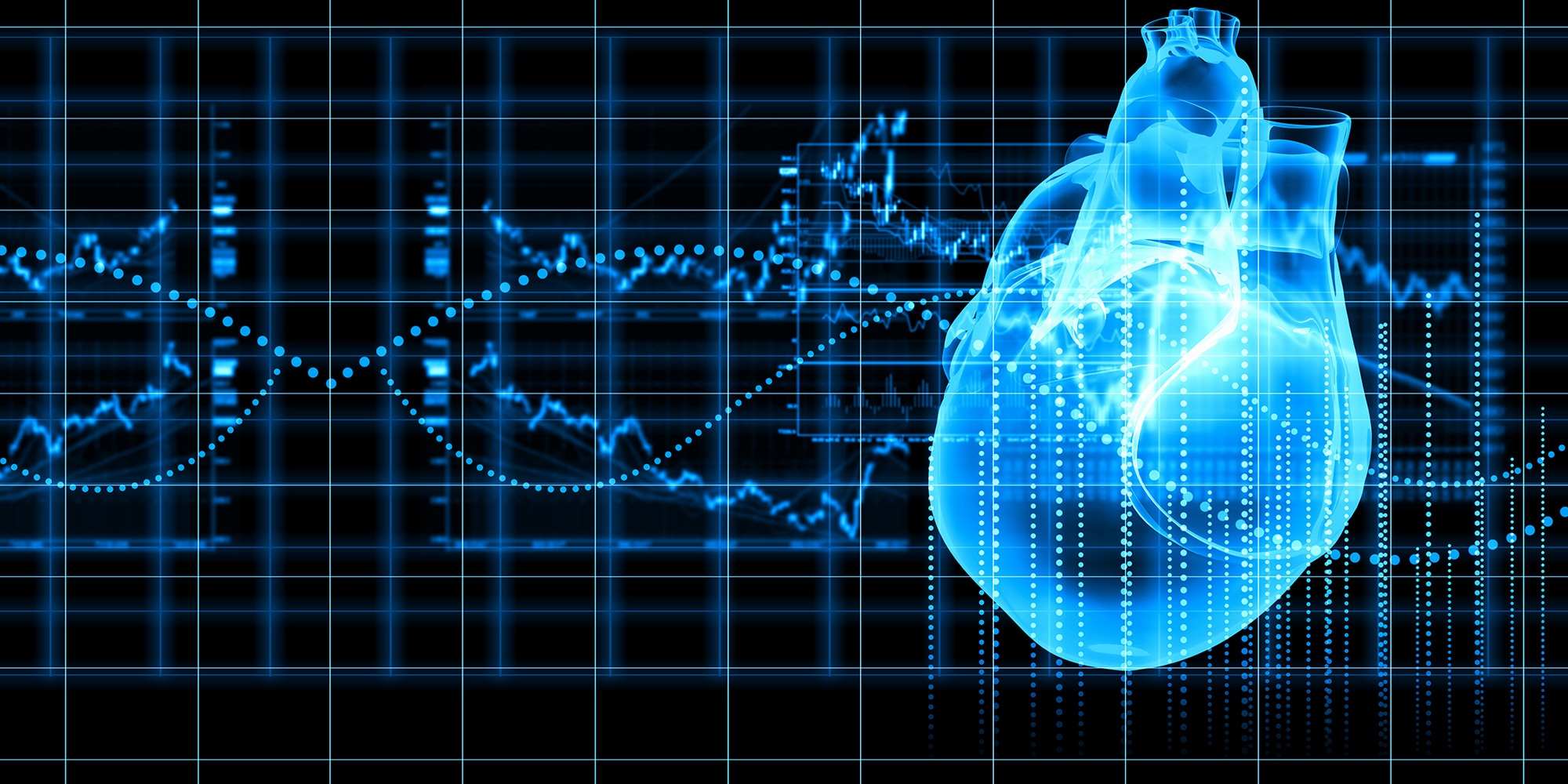 imec.icon project - DIASTOLE