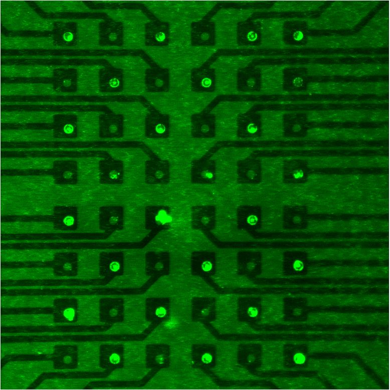 Figure 4 – Demonstration of the write process: (fluorescent) polystyrene nanoparticles are attracted by an alternating electric field generated by electrodes addressed in a checkboard arrangement.