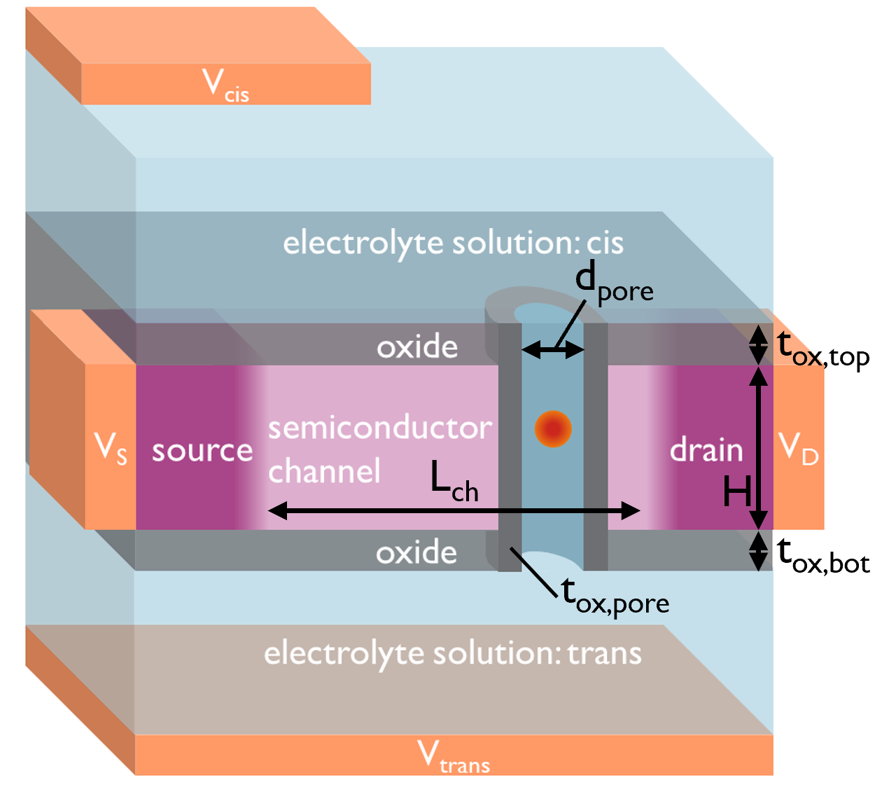 Advanced modelling of nanofluidic/nanoelectronic field effect devices