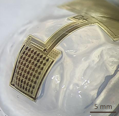 Design of readout circuits for bio-applications on flexible substrates