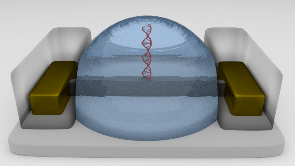 bioFET DNA1