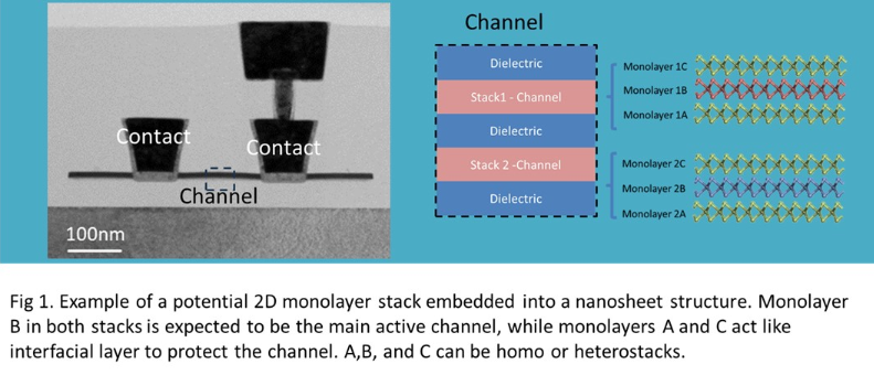 monolayer