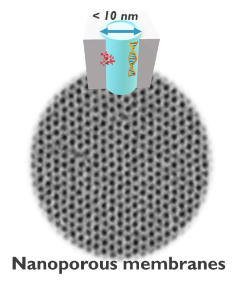 Nanoporeus Membranes