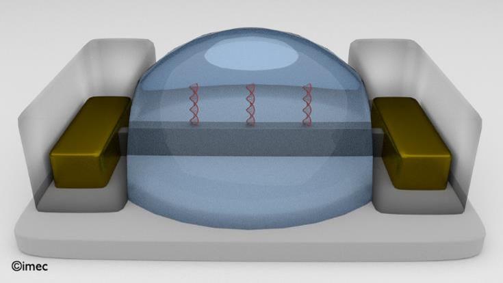 finFET biosensor