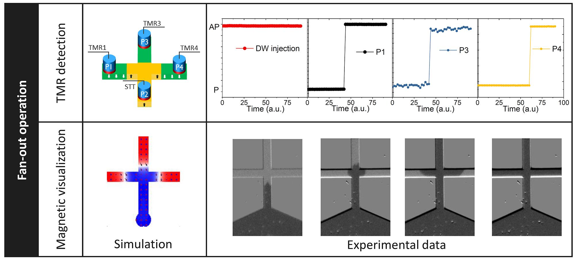 Figure 3: Demonstration of fan-out operation as observed by electrical read-out (TMR) in a cross-shaped nanoscale device, by micromagnetic simulations and by magnetic imaging techniques in microscale devices (as presented at 2021 IEDM).