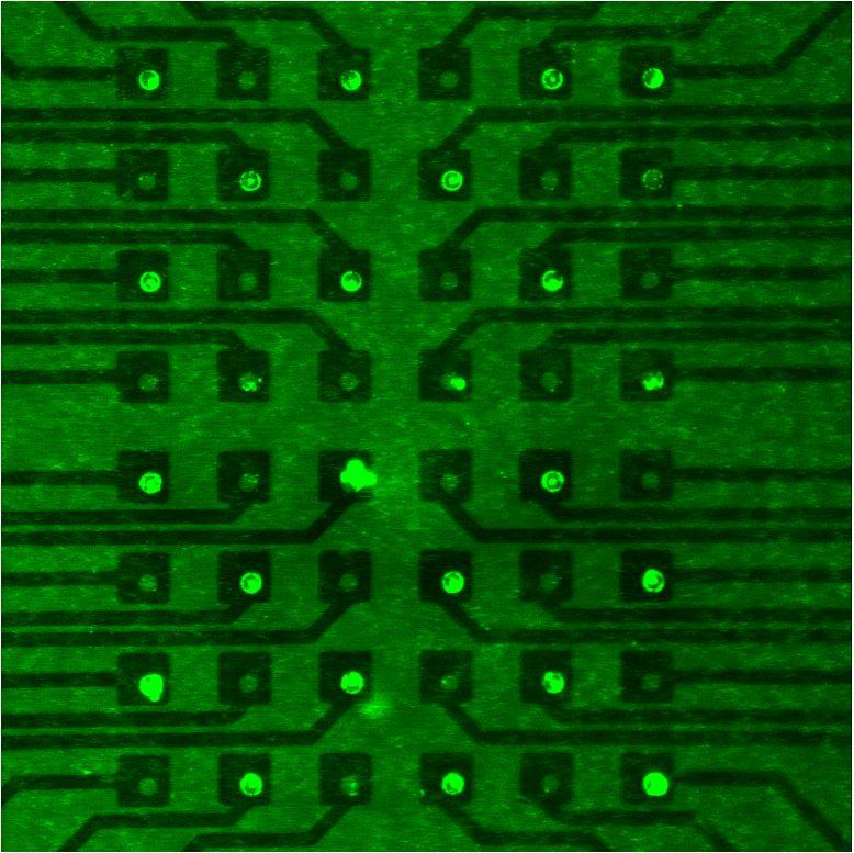 Figure 4 – Demonstration of the write process: (fluorescent) polystyrene nanoparticles are attracted by an alternating electric field generated by electrodes addressed in a checkboard arrangement.