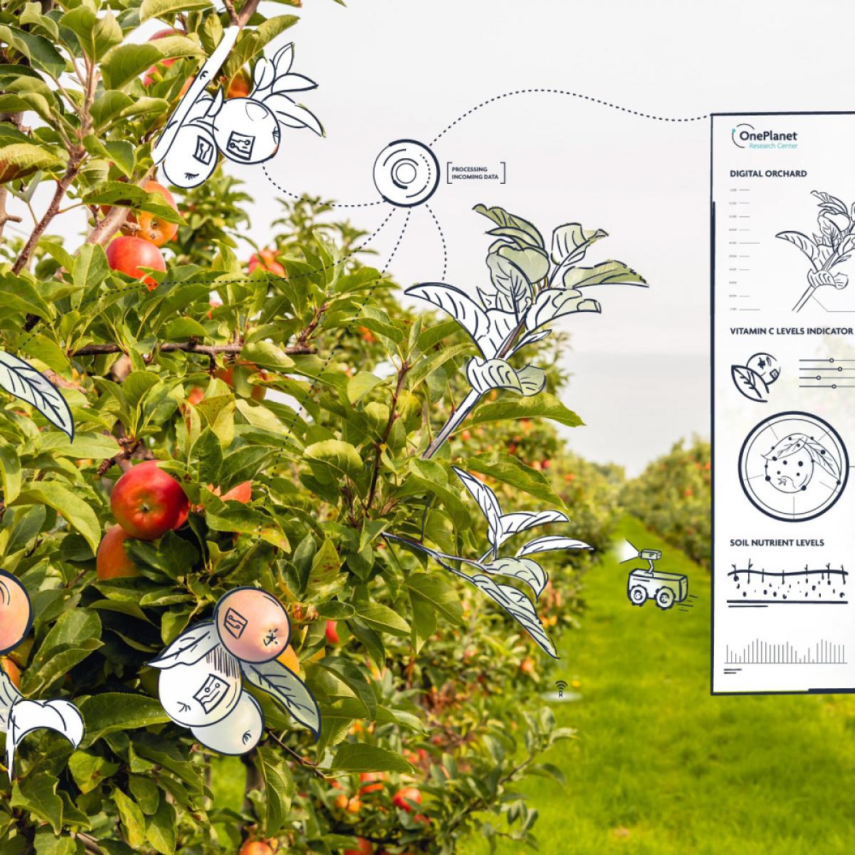 OnePlanet delivers innovative applications for sustainable farming and food supply